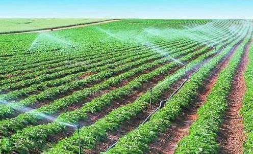 大屌爆操美女在线农田高 效节水灌溉